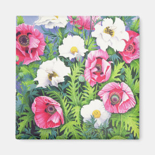 Imã Abelha do mel da abelha do mel