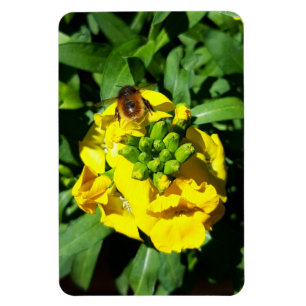 Ímã Abelha em Flores Amarelas