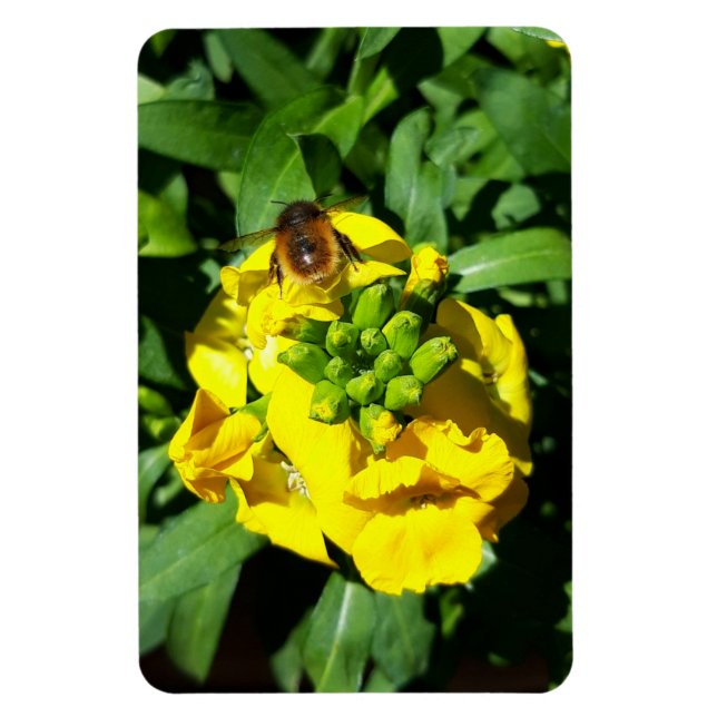 Ímã Abelha em Flores Amarelas (Vertical)