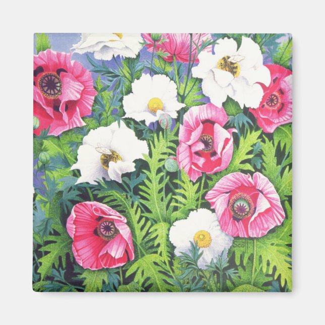 Imã Abelha Mel De Abelha (Frente)