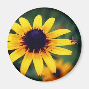 Imã Abelha na Flor de Susana Olho Preto Natureza