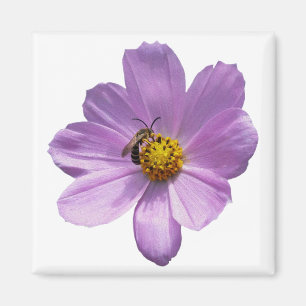 Imã Abelha na flor roxa