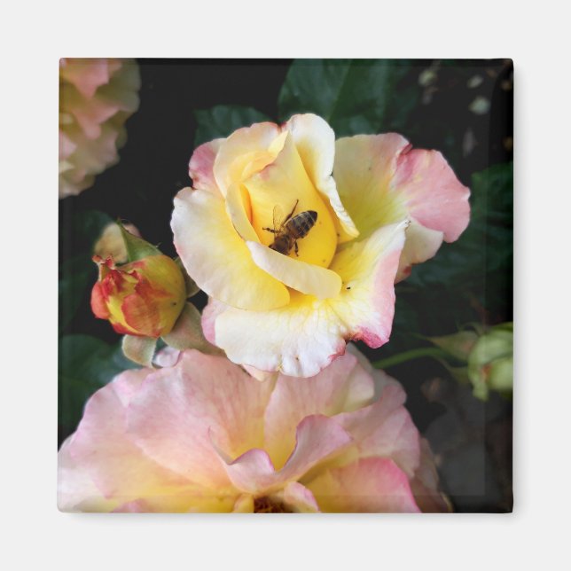 Imã Abelha nas flores amarelas cor-de-rosa (Frente)