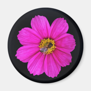 Imã abelha trabalhadora