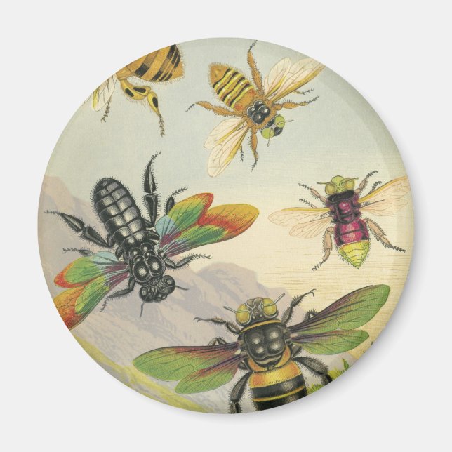 Imã Abelhas (Frente)