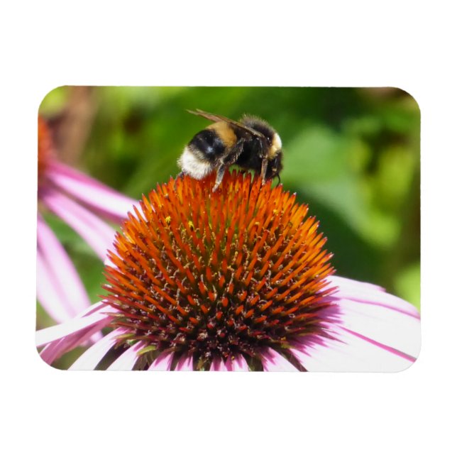 ÍMÃ ABELHAS (Horizontal)