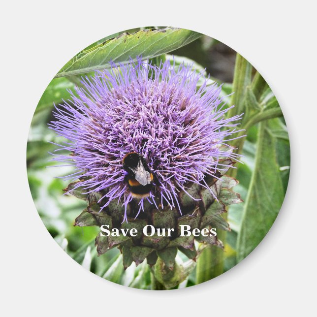 IMÃ ABELHAS   (Frente)