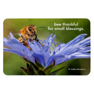 Ímã Abelhas de mel na Flor do Radicchio