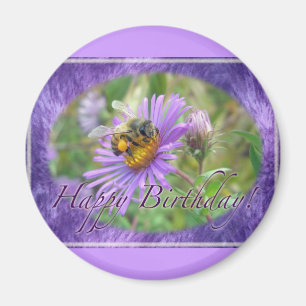 Imã Abelhas de mel nos itens de coordenação de anive