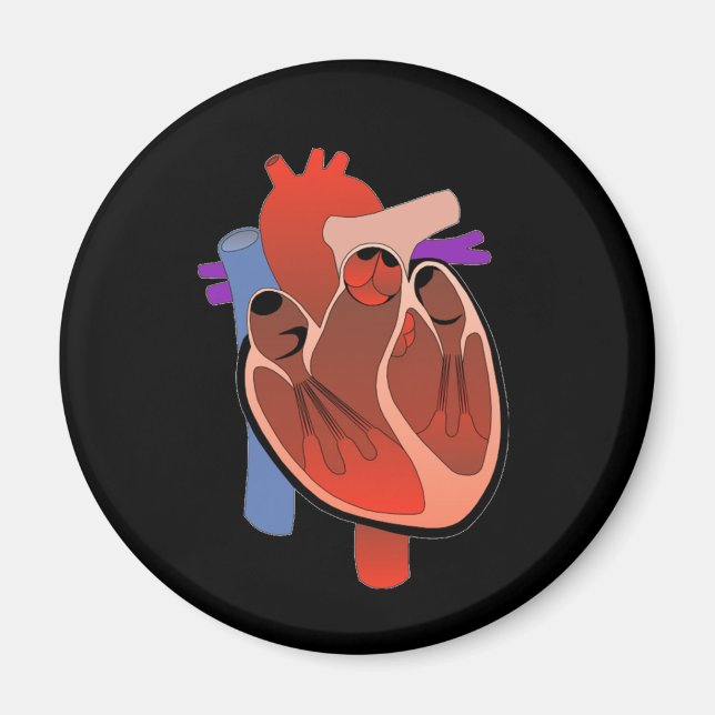 Imã Aberto Corado (Frente)