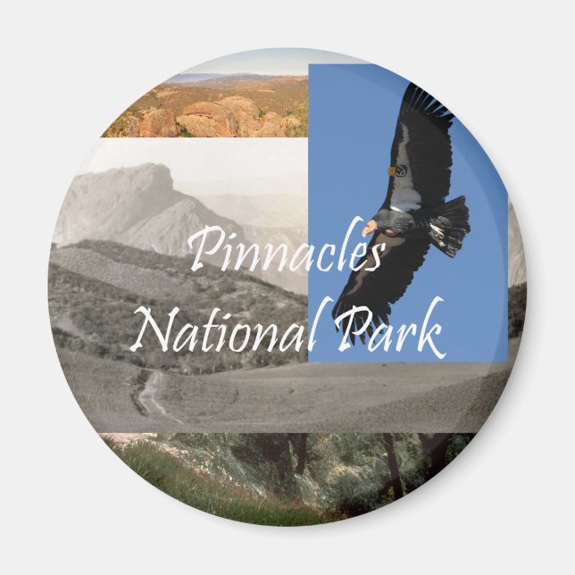 Imã ABH Pinnacle NP (Frente)