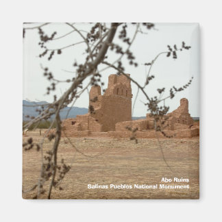 Imã Abo RuinsSalinas Pueblos National Mon.