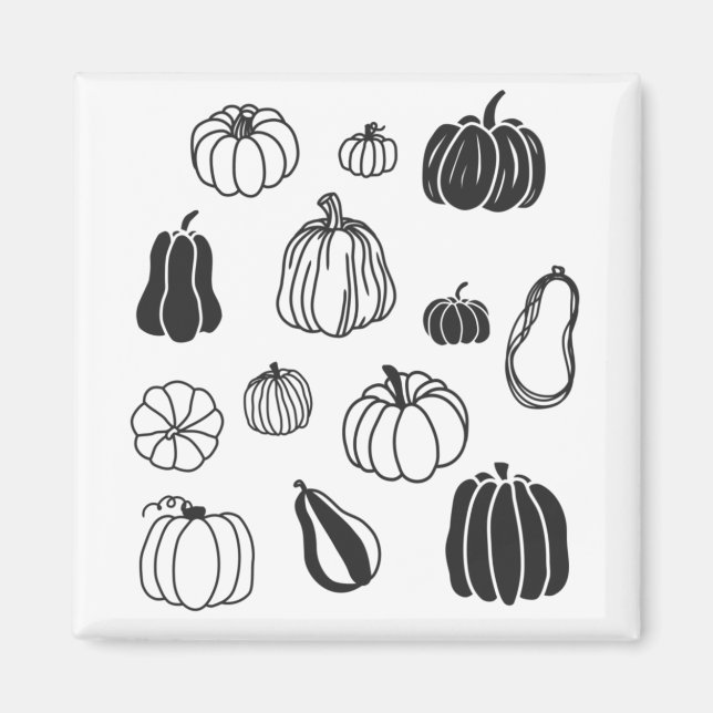 Imã Abóbora Botânica (Frente)