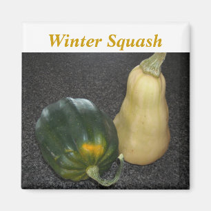 Imã Abóbora de Inverno - Acorn e Butternut