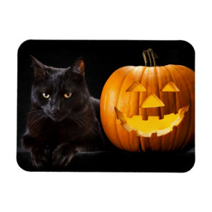 Ímã Abóbora do Dia das Bruxas e gato preto