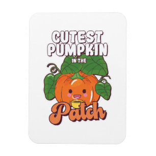 Ímã abóbora mais bonita do sistema