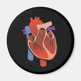 Imã Abra Hearted