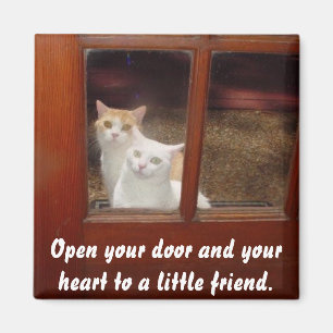 Imã Abra seu coração