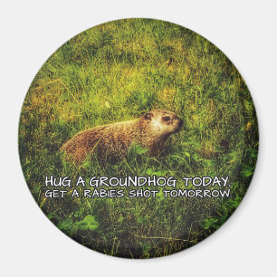 Imã Abrace um groundhog hoje. Obtenha um ímã do tiro