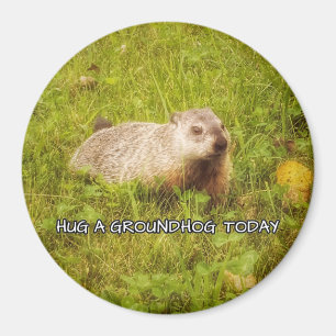Imã Abrace um ímã de marmota hoje