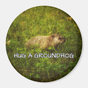 Imã Abrace um ímã do groundhog