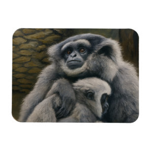 Ímã Abrigo Gibbon - Retrato Emocional de Vida Selvagem