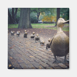 Imã Abrir Caminho Para O Ímã De Ducklings