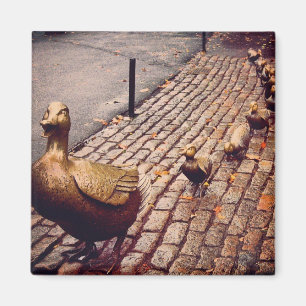 Imã Abrir Caminho Para O Ímã De Ducklings