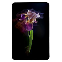 Ímã Abstract Iris Flower – Elegant Floral Art