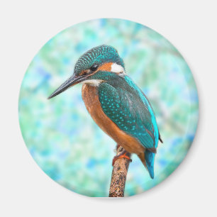 Imã Abstrato de Azul de Kingfisher