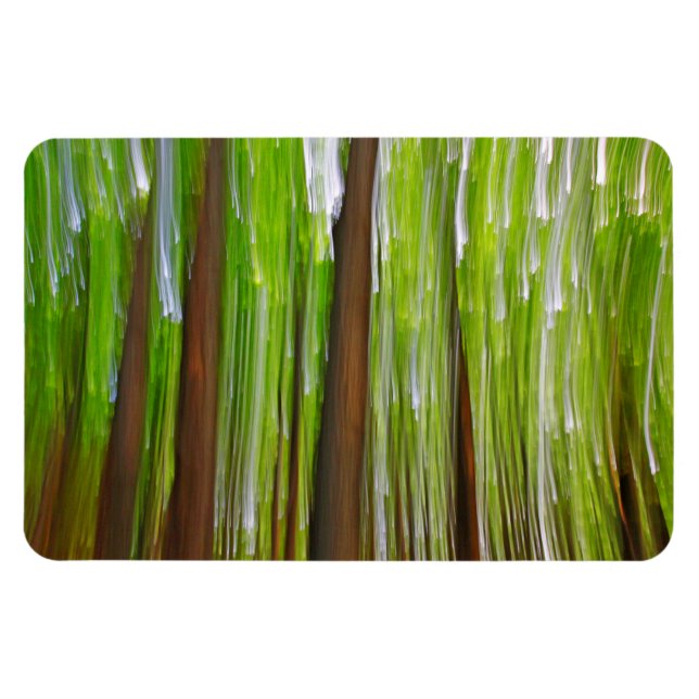 Ímã Abstrato de Maple Grove (Horizontal)