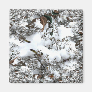 Imã Abstrato de neve