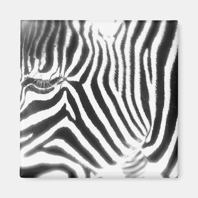 Imã Abstrato Zebra Magnet (Frente)