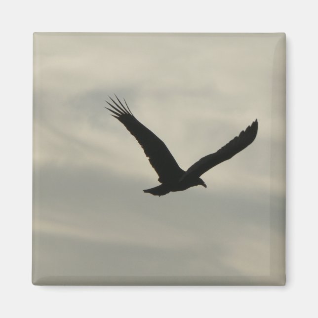 Imã Abutre. (Frente)