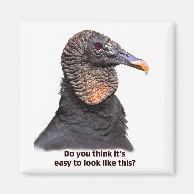 Imã Abutre Magnet (Frente)