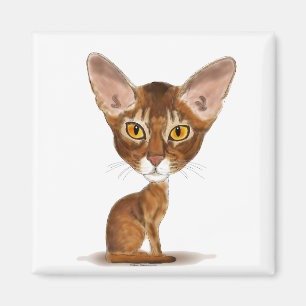 Imã Abyssinian da caricatura