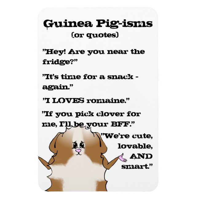 Ímã Abyssinian Guiné Pig Sayings (Vertical)