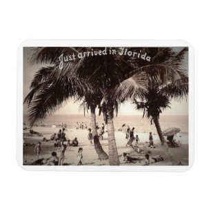 Ímã Acabou de chegar na Flórida! Vintage