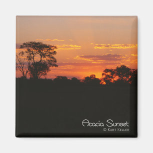 Imã Acacia Sunset
