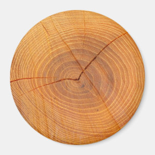 Imã Acacia Tree Cross Section Large Round Magnet