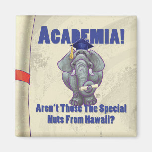 Imã Academia Scroll