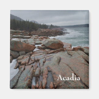 Imã Acadia Magnet - 3