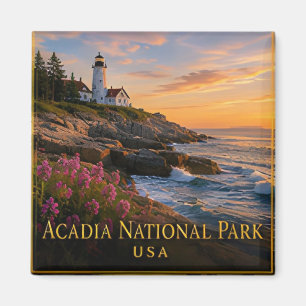 Imã Acadia Maine Costa Rochosa & Montanha Cadillac 