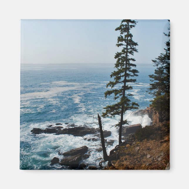 Imã Acadia Shore Magnet - 1 (Frente)