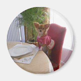 Imã Ação de graças com o ímã chi