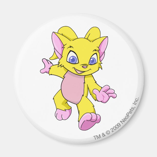 Imã Acara Yellow (Frente)