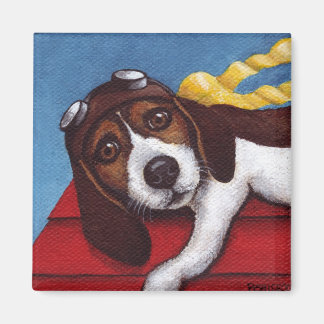 Imã Ace Voador Em Formação