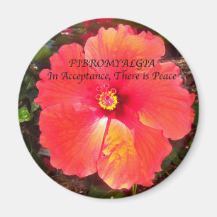 Imã Aceitação fibro