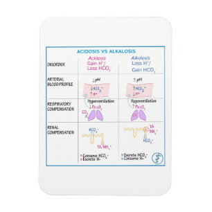 Ímã Acidose vs Alcalose Magneta