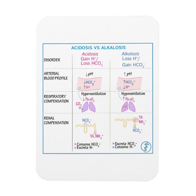 Ímã Acidose vs Alcalose Magneta (Vertical)